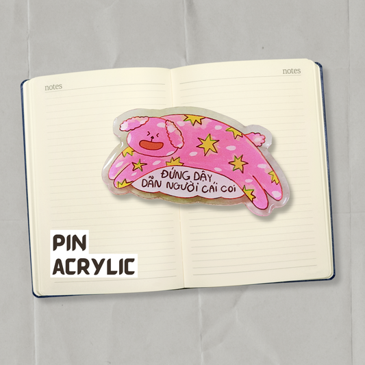 Acrylic pins - Qee Art