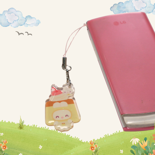 Camera, phone charm